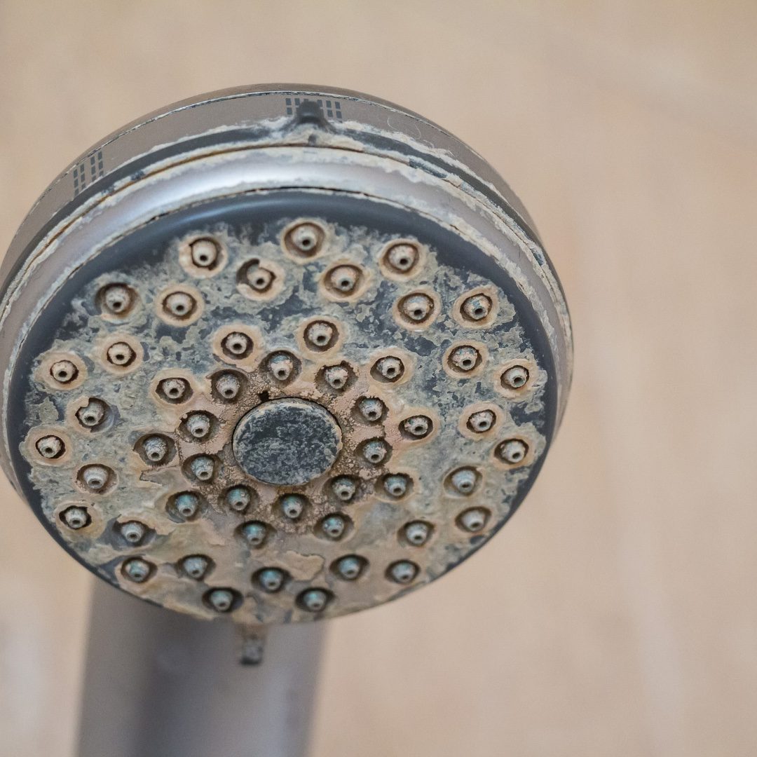 hard-water-shower