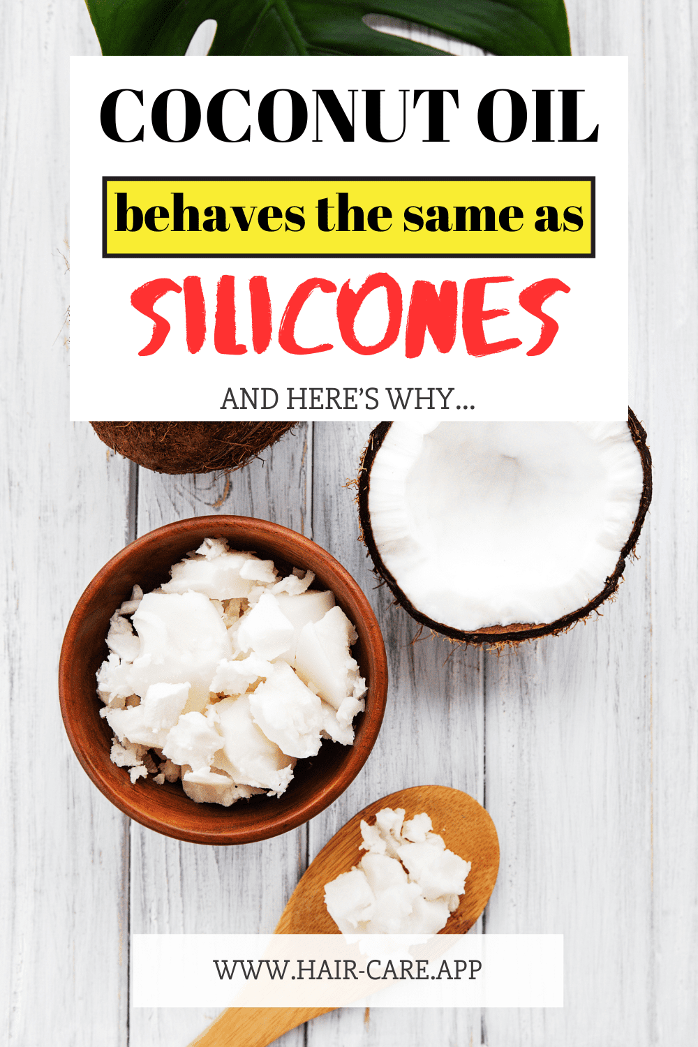 coconut-oil-kills-our-hair